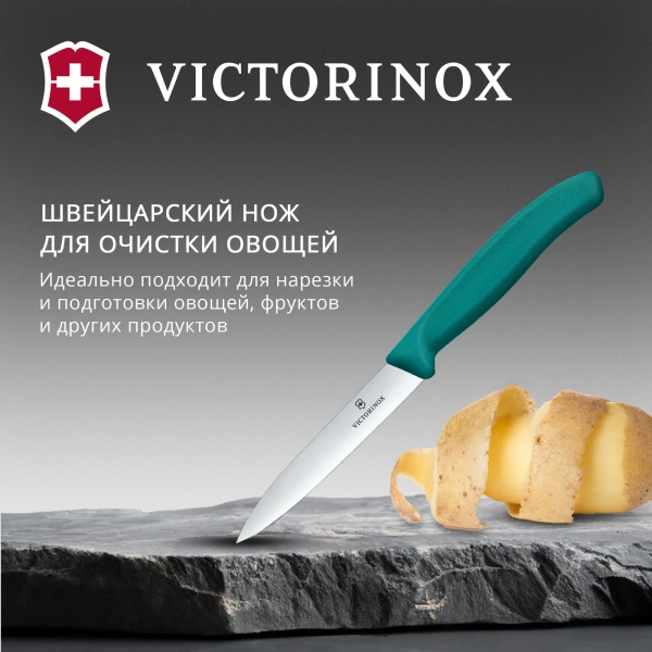 Нож кухонный Victorinox Swiss Classic (6.7704.C1) для овощей лезв.100мм прямая заточка зеленый