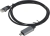 Кабель Buro BU-USB-C-LAN100-2m USB Type-C (m) RJ-45 (m) 2м черный (пакет)
