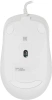 Мышь A4Tech Fstyler FM10 белый/серый оптическая 1600dpi USB 4but (FM10 WHITE)