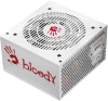 Блок питания Bloody ATX 750W BD-PS750G 80+ gold (20+4pin) APFC 120mm fan 6xSATA Cab Manag RTL