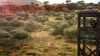 Игра для ПК Nacon Hunting Simulator 2: Bear Hunter Edition (16+)