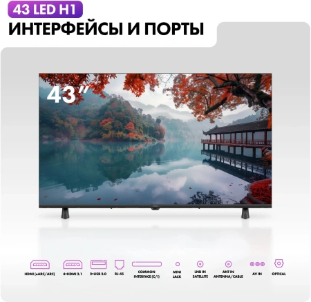 Телевизор LED Haier 43" LED H1 Frameless черный 4K Ultra HD 60Hz MEMC DVB-T DVB-T2 DVB-C DVB-S2 USB WiFi Smart TV (RUS)