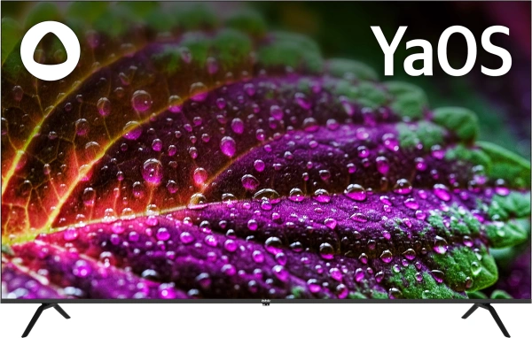 Телевизор LED BBK 65" 65LEX-8231/UTS2C (B) Яндекс.ТВ Frameless черный 4K Ultra HD 60Hz DVB-T2 DVB-C DVB-S2 USB WiFi Smart TV (RUS)