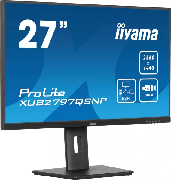 Монитор Iiyama 27" ProLite XUB2797QSNP-B1 черный IPS LED 16:9 HDMI M/M матовая HAS Piv 300cd 178гр/178гр 2560x1440 100Hz DP WQ USB 6.1кг