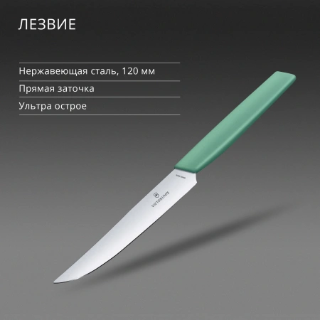 Нож кухонный Victorinox Swiss Modern (6.9006.1241) стальной столовый для стейка лезв.120мм прямая заточка мятный