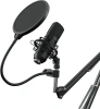 Микрофон проводной Оклик SM-700G 2.5м черный