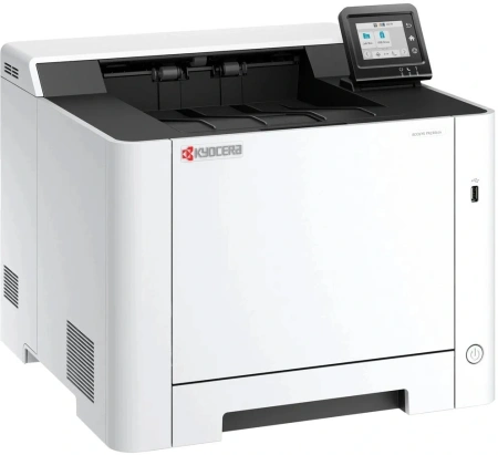 Принтер лазерный Kyocera Ecosys PA2101cwx (110C243NL1) A4 Duplex WiFi белый