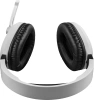 Наушники с микрофоном Defender Phantom PRO белый накладные BT/Radio оголовье (64580)