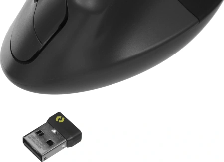 Мышь Logitech Lift графитовый оптическая 4000dpi silent беспров. BT/Radio USB для ноутбука 5but (910-006485)