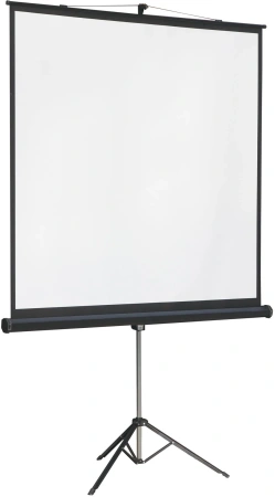Экран на треноге Lumien 131" 244x244см Master View LMV-100105 1:1 напольный рулонный