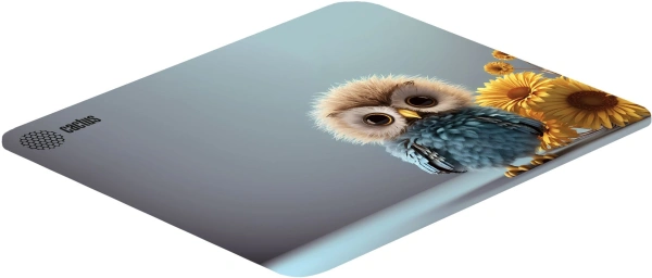 Коврик для мыши Cactus Owl gray рисунок 300x250x3мм (CS-MP-D12M)