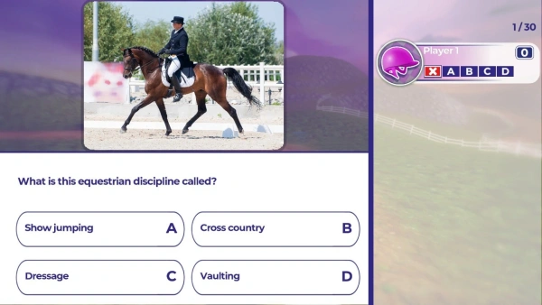 Игра для ПК Microids Equestrian Training (6+)