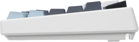 Клавиатура MSI Forge GK600 механическая белый/синий USB беспроводная BT/Radio Multimedia for gamer LED (S11-43RUP01-HH9) кабель 1.8м
