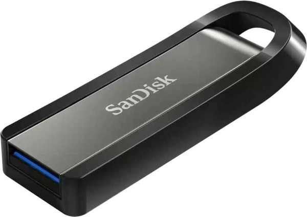 Флеш Диск Sandisk 256Gb Extreme Go SDCZ810-256G-G46 USB3.2 черный