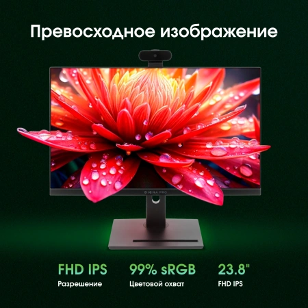 Моноблок Digma Pro Vision 23.8" Full HD Ryzen 3 5425U (2.7) 8Gb SSD256Gb RGr CR Windows 11 Pro Eth WiFi BT 90W клавиатура мышь Cam черный 1920x1080