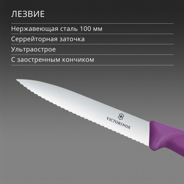 Нож кухонный Victorinox Swiss Classic (6.7735.C1) для чистки овощей и фруктов лезв.100мм серрейт. заточка пурпурный