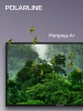 Телевизор LED PolarLine 32" 32PL55TC-SM черный/серебристый HD 60Hz DVB-T DVB-T2 DVB-C USB WiFi Smart TV (RUS)