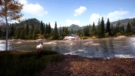 Игра для ПК Nacon Hunting Simulator 2: Bear Hunter Edition (16+)