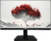 Монитор RDW Computers 23.8" RDW2401K черный IPS 4ms 16:9 HDMI матовая 300cd 178гр/178гр 1920x1080 100Hz VGA DP FHD 4.185кг (RUS)