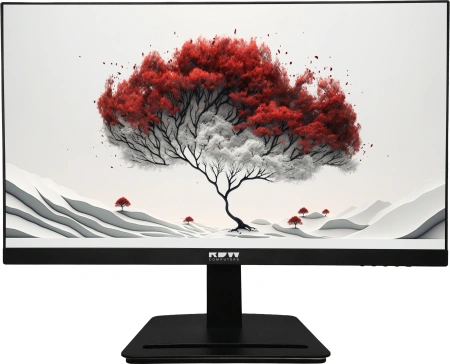 Монитор RDW Computers 23.8" RDW2401K черный IPS 4ms 16:9 HDMI матовая 300cd 178гр/178гр 1920x1080 100Hz VGA DP FHD 4.185кг (RUS)