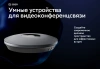 Микрофон Sber SDMIC-001