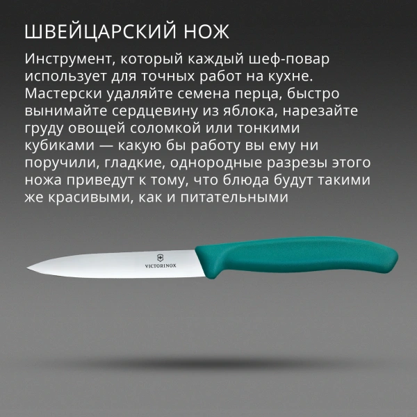 Нож кухонный Victorinox Swiss Classic (6.7704.C1) для овощей лезв.100мм прямая заточка зеленый
