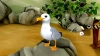 Игра для ПК Rokaplay My Vet Practice Marine Patrol (0+)