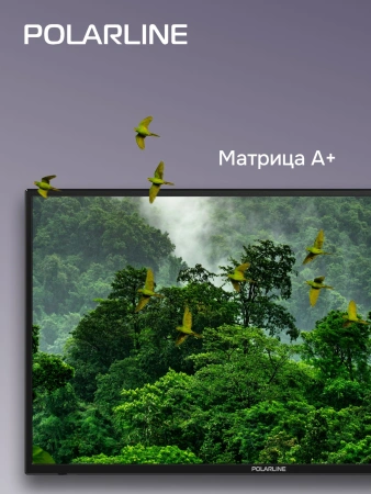 Телевизор LED PolarLine 32" 32PL53TC-SM черный FULL HD 60Hz DVB-T DVB-T2 DVB-C USB WiFi Smart TV (RUS)