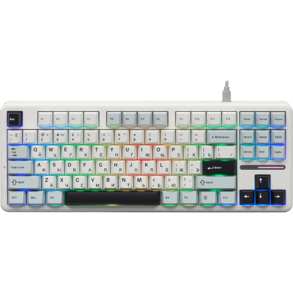 AULA F87 (6978080503800)
