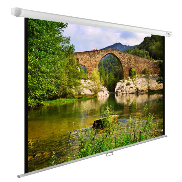 Экран Cactus 108" 165x220см WallExpert CS-PSWE-220x165-WT 4:3 настенно-потолочный рулонный белый