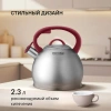 Чайник металлический Rondell Eletto RDS-1825 3л. стальной