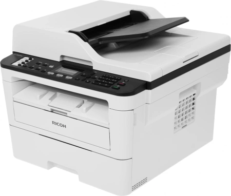 МФУ лазерный Ricoh SP 230SFNw (408293) A4 Duplex WiFi серый