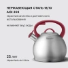 Чайник металлический Rondell Eletto RDS-1825 3л. стальной