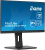 Монитор Iiyama 21.5" ProLite XUB2293HSU-B7 черный IPS LED 16:9 HDMI M/M матовая HAS Piv 300cd 178гр/178гр 1920x1080 100Hz DP FHD USB 3.9кг