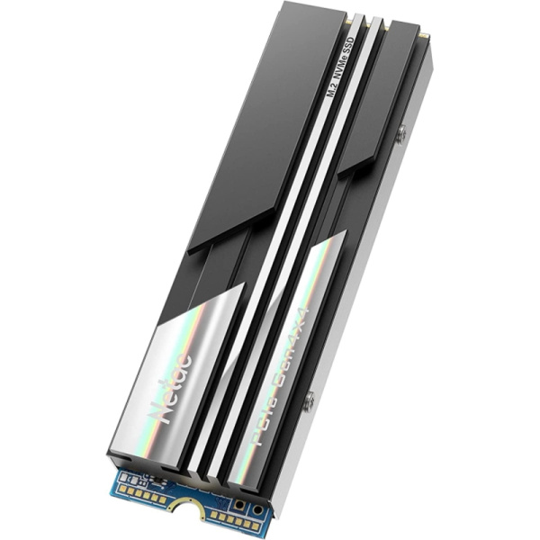 Netac NT01NV5000-500-E4X
