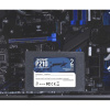 Patriot P210S2TB25