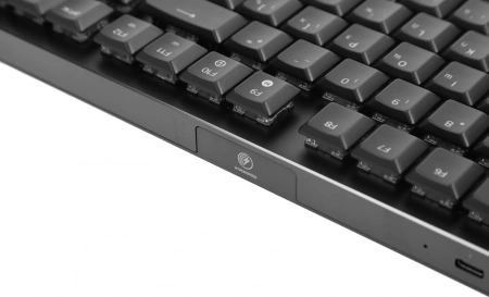 Клавиатура Razer DeathStalker V2 Pro черный USB беспроводная BT/Radio Multimedia for gamer LED (RZ03-04360800-R3R1) кабель 1.8м