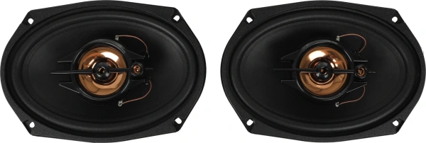 Колонки автомобильные ACV PB-693G 240Вт 88дБ 4Ом 16x23см (6x9дюйм) (ком.:2кол.) коаксиальные трехполосные