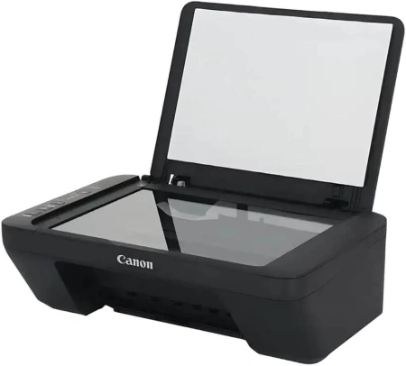 МФУ струйный Canon Pixma MG2541S (0727C071/0727C067) A4