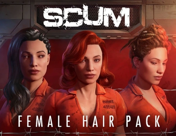 Дополнение к игре для ПК Jagex SCUM Female Hair Pack (18+)