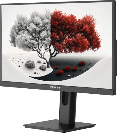 Монитор RDW Computers 23.8" RDW2401K черный IPS 4ms 16:9 HDMI матовая 300cd 178гр/178гр 1920x1080 100Hz VGA DP FHD 4.185кг (RUS)