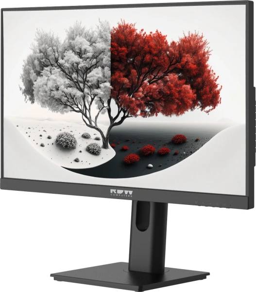 Монитор RDW Computers 23.8" RDW2401K черный IPS 4ms 16:9 HDMI M/M матовая HAS Piv 1000:1 300cd 178гр/178гр 1920x1080 100Hz VGA DP FHD 1.7кг (RUS)