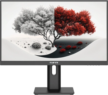 Монитор RDW Computers 23.8" RDW2401K черный IPS 4ms 16:9 HDMI матовая 300cd 178гр/178гр 1920x1080 100Hz VGA DP FHD 4.185кг (RUS)