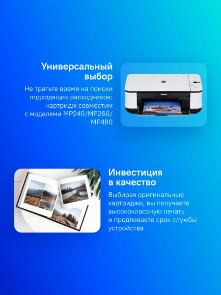 Картридж струйный Canon PG-512 2969B007/001 черный печ.гол.в компл. для Canon MP240/MP260/MP480