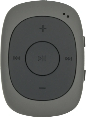 Плеер Flash Digma C2L 4Gb серый/FM/clip