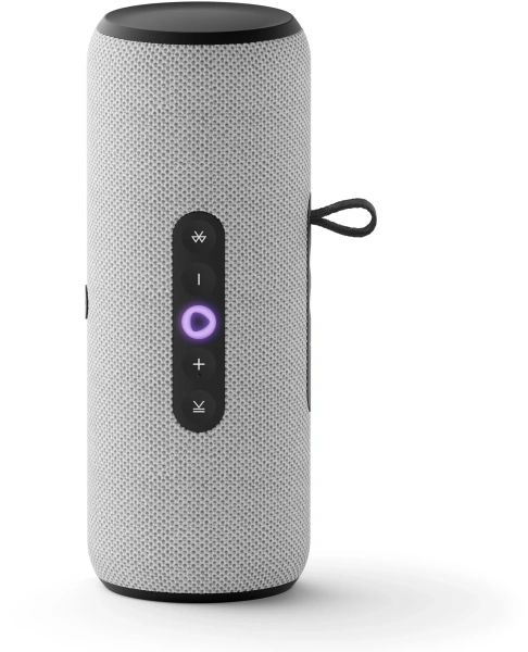 Умная колонка Yandex Стрит Алиса серый 30W 2.0 BT/Wi-Fi 10м 3300mAh (YNDX-00030GRY)