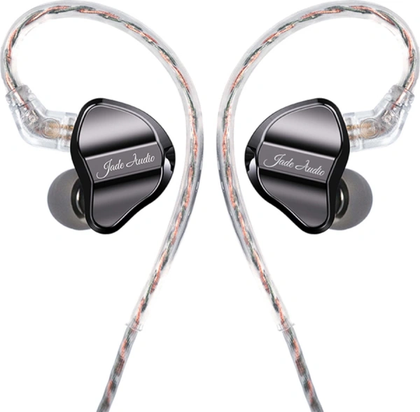 Гарнитура внутриканальные Fiio JD1 1.2м черный проводные в ушной раковине (80003491)