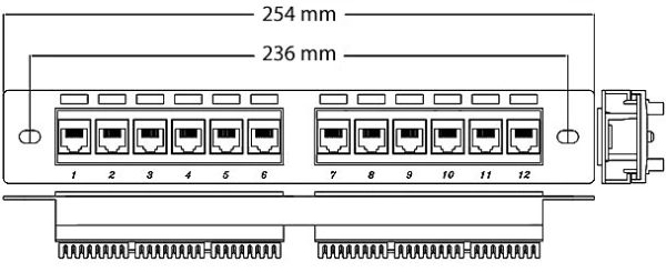 Патч-панель Cabeus PL-12-CAT.5E 10"-DUAL 10" 1U 12xRJ45 кат.5E UTP