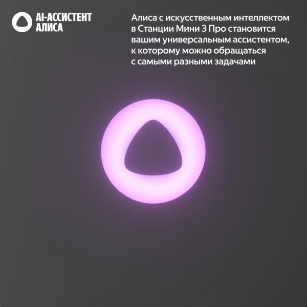 Умная колонка Yandex Станция Мини 3 Про Алиса черный 18W 1.0 BT/Wi-Fi (YNDX-00059BLK)