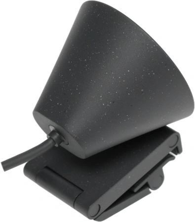 Камера Web Logitech HD Webcam Brio 300 черный 2Mpix (1920x1080) USB Type-C с микрофоном (960-001438)